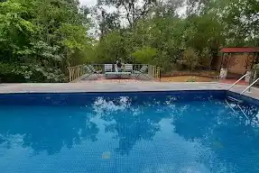 Wildlife Tour Kanha